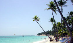 Palmen-Strand in der Dominikanischen Republik