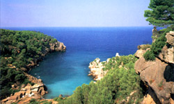 Mediterrane Küstenlandschaft auf Mallorca