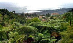 Tropische Kstenlandschaft auf Madeira