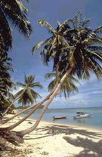 Sandstrand auf Ko Samui